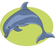 dolfijnen1